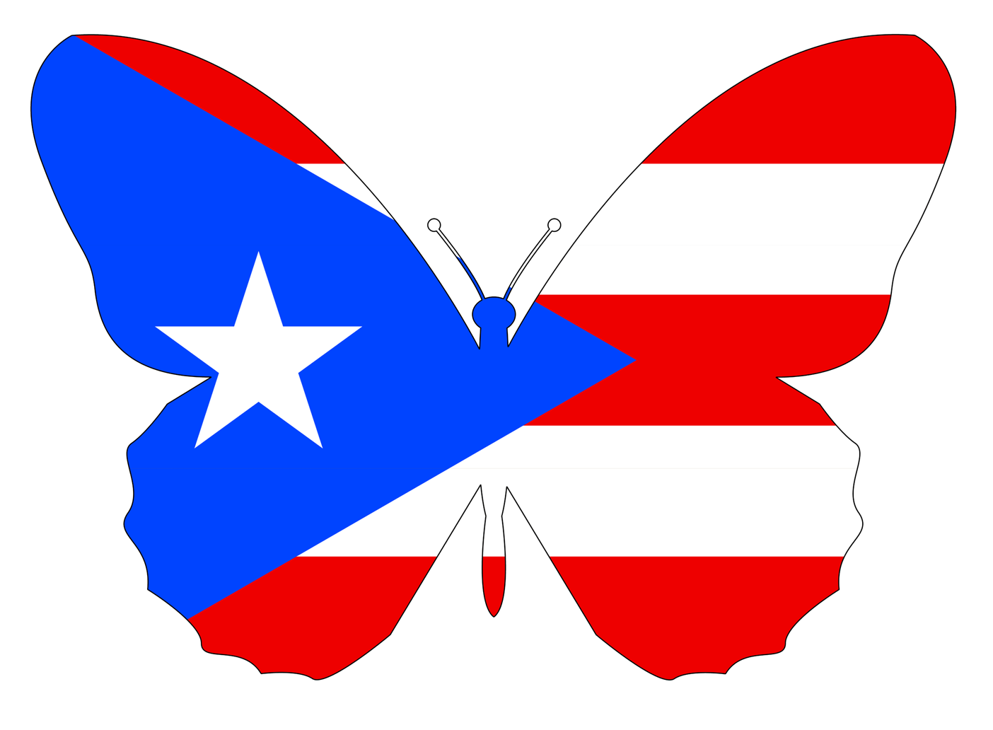 Puerto Rican Flag shaped like a butterfly